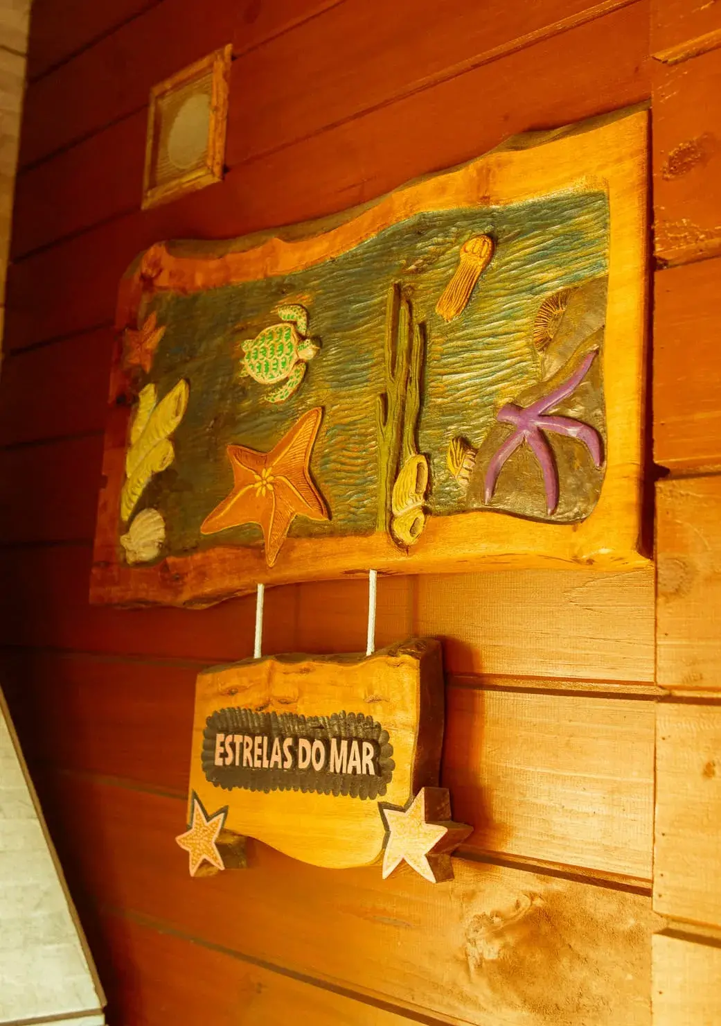 Estrela do Mar